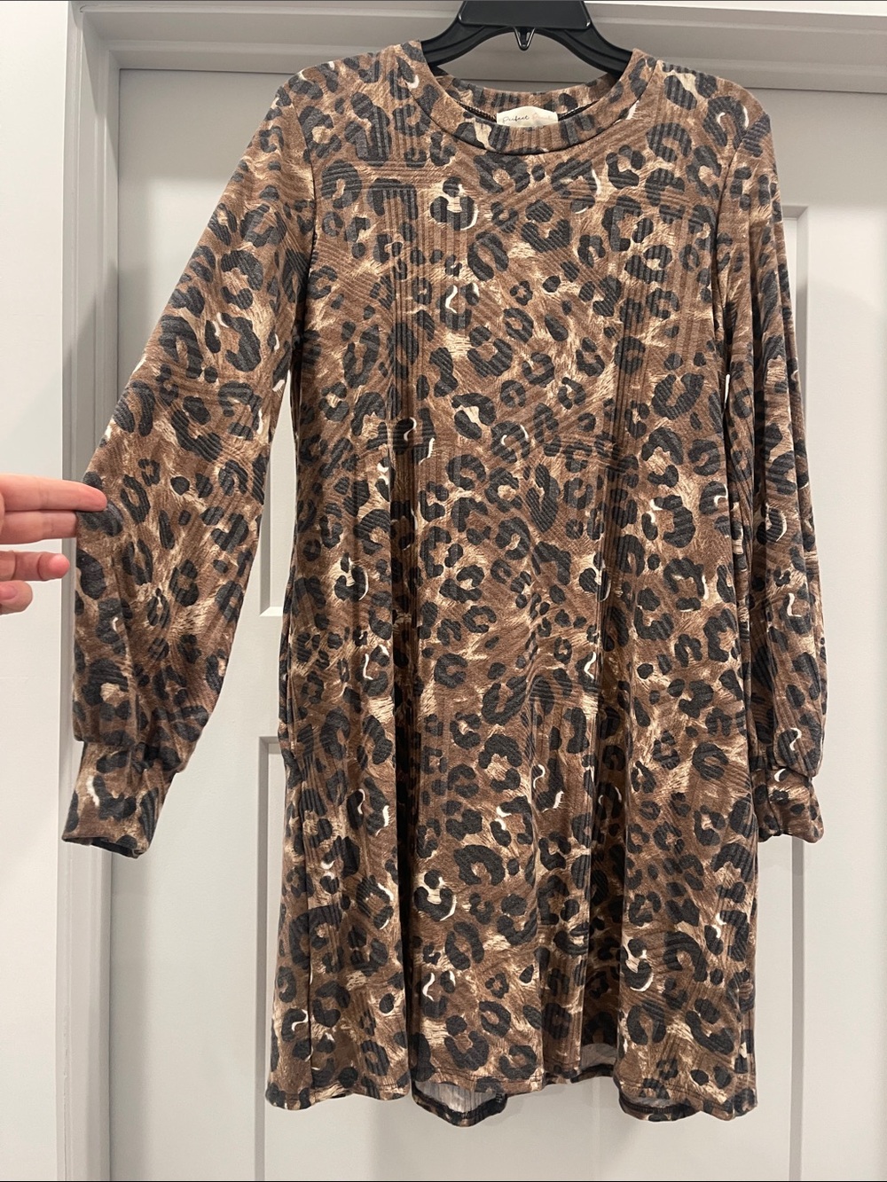 Leopard Print Long Sleeve Swing Dress - Brown